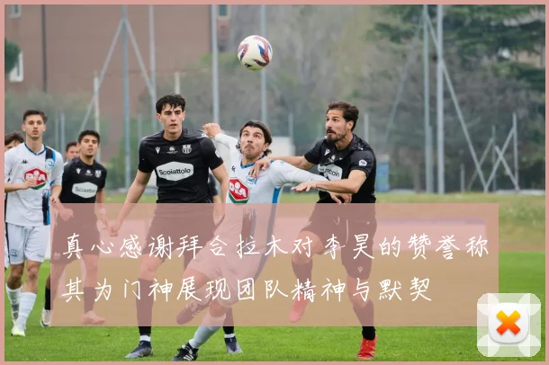 真心感谢拜合拉木对李昊的赞誉称其为门神展现团队精神与默契